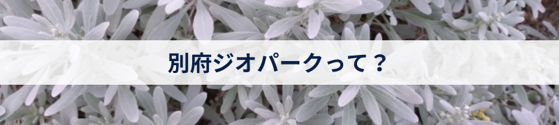 別府ジオパークって？